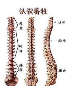 006mbIC1zy6ZqSvUX2E00&amp.jpg